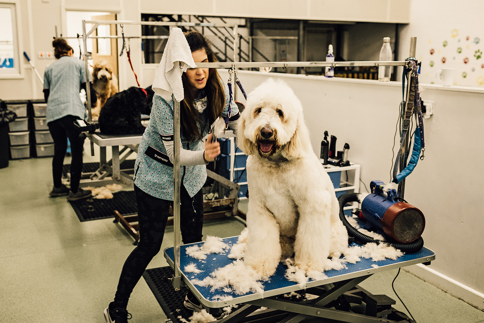 Woof & Ready Dog Grooming Salon